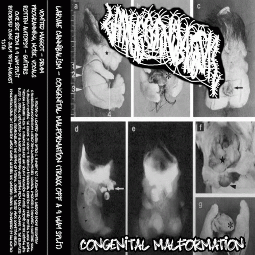 Larvae Cannibalism : Congenital Malformation